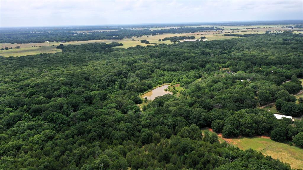 TBD County Road 2620 - Photo 1