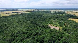 TBD County Road 2620 - Photo 10