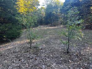 TBD County Road 2620 - Photo 16