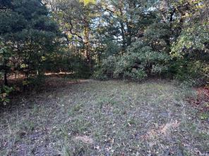 TBD County Road 2620 - Photo 17