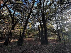 TBD County Road 2620 - Photo 18