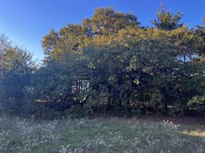 TBD County Road 2620 - Photo 19