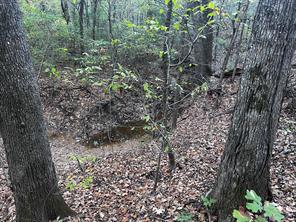 TBD County Road 2620 - Photo 20