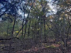 TBD County Road 2620 - Photo 21