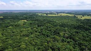 TBD County Road 2620 - Photo 3
