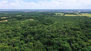 TBD County Road 2620 - Photo 4