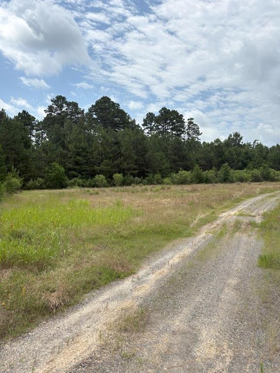 TBD County Road 425