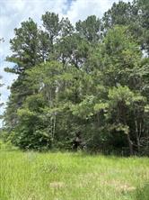 TBD County Road 425 - Photo 10