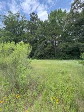 TBD County Road 425 - Photo 2