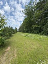 TBD County Road 425 - Photo 3
