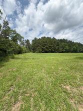 TBD County Road 425 - Photo 9