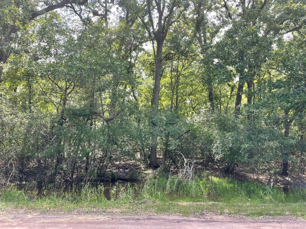 TBD County Road 750 - Photo 1