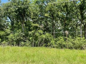 TBD County Road 750 - Photo 5