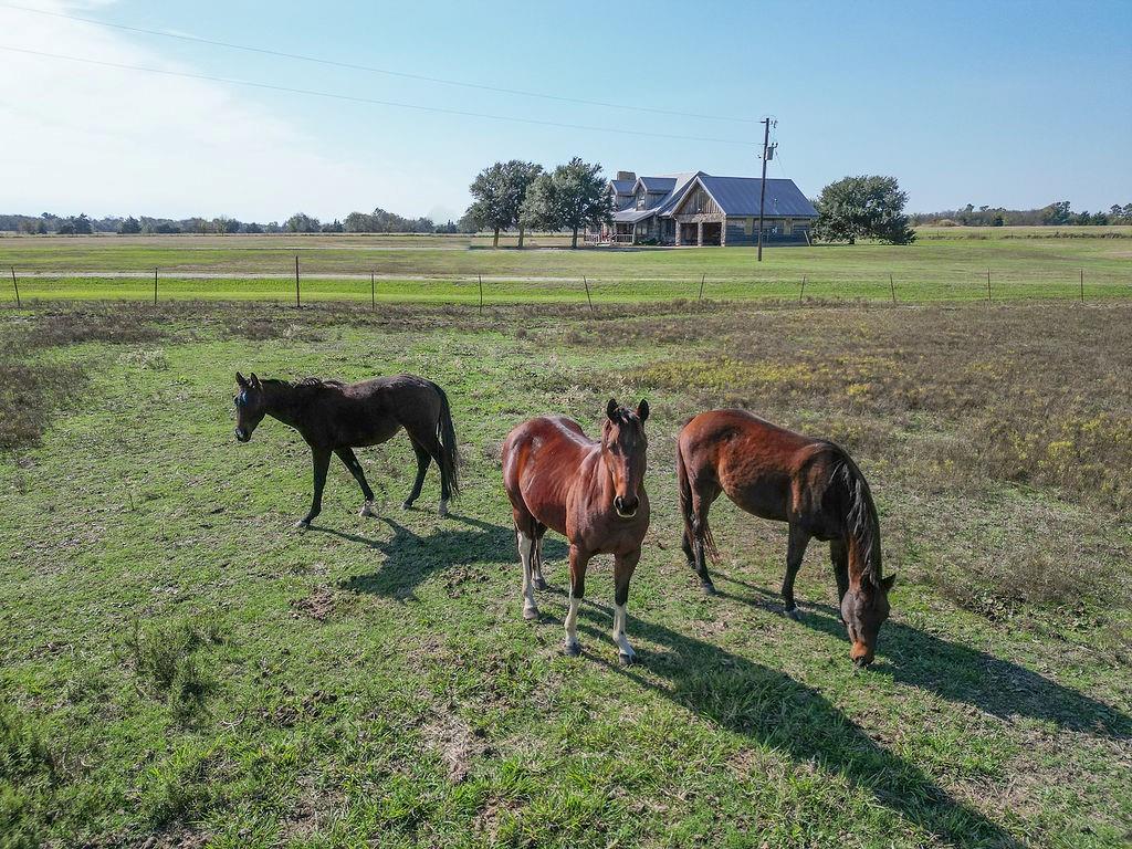 411 Rs County Road 4525 - Photo 34