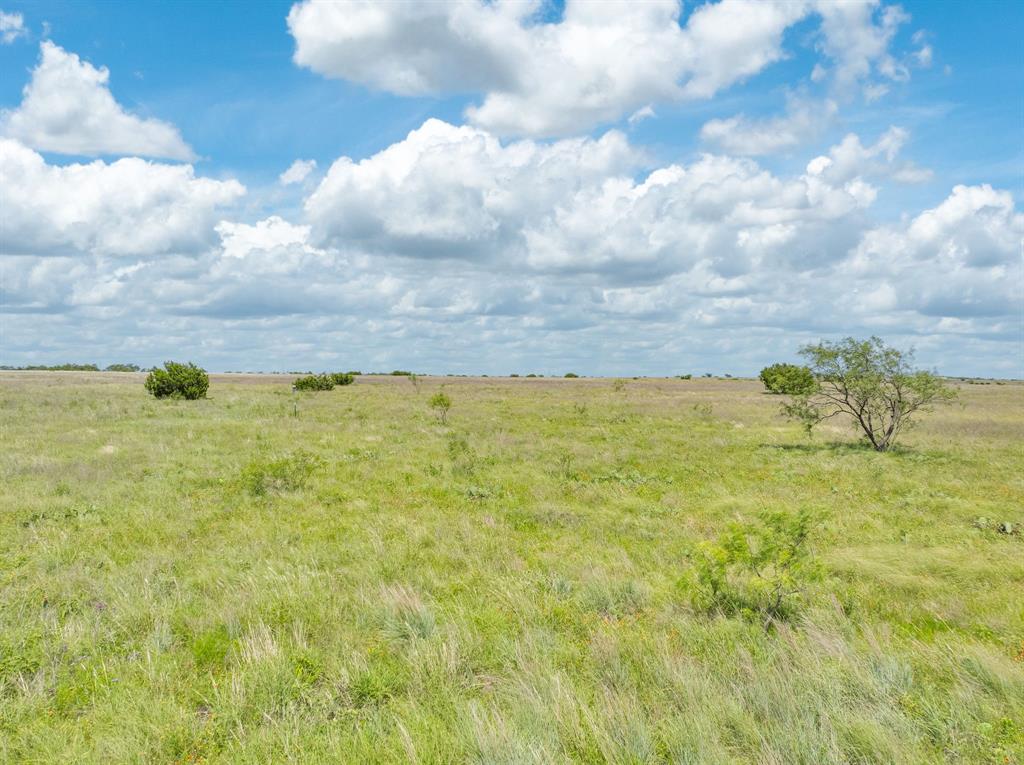 3540 County Road 626 - Photo 9