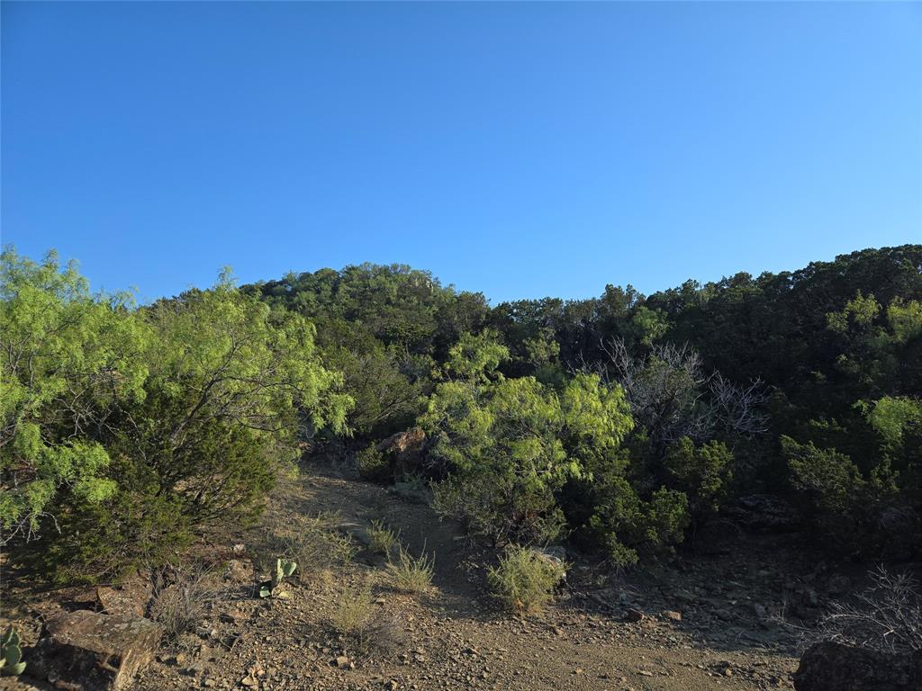 Lot 194 Plesant Valley Road - Photo 8