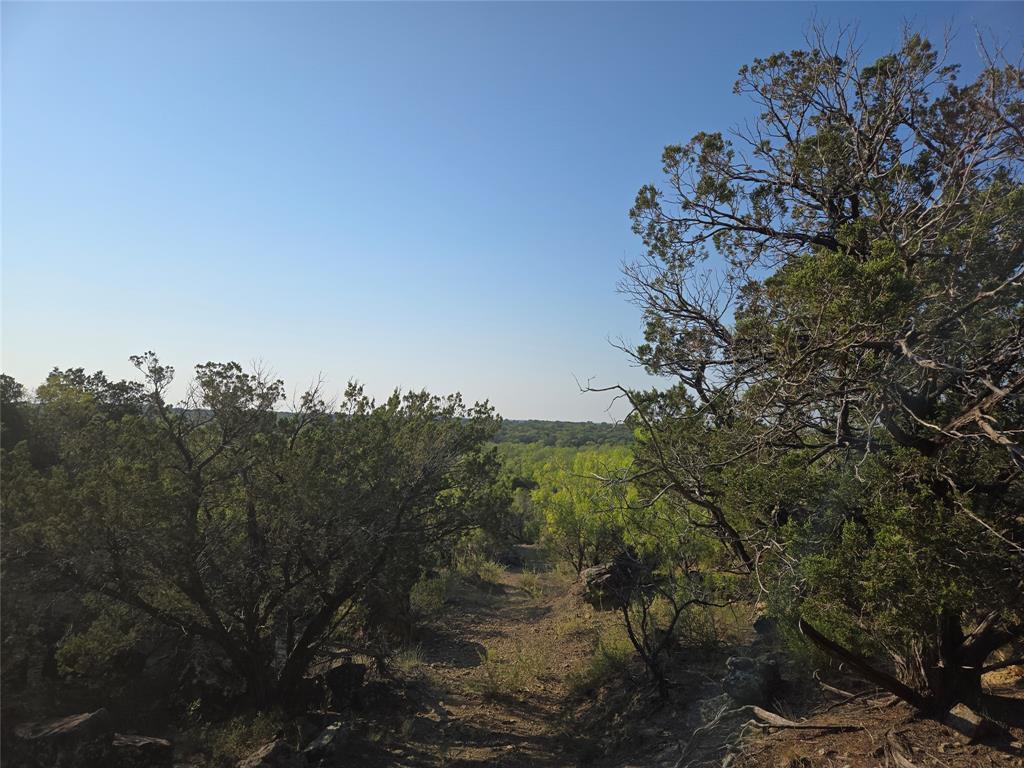 Lot 194 Plesant Valley Road - Photo 9