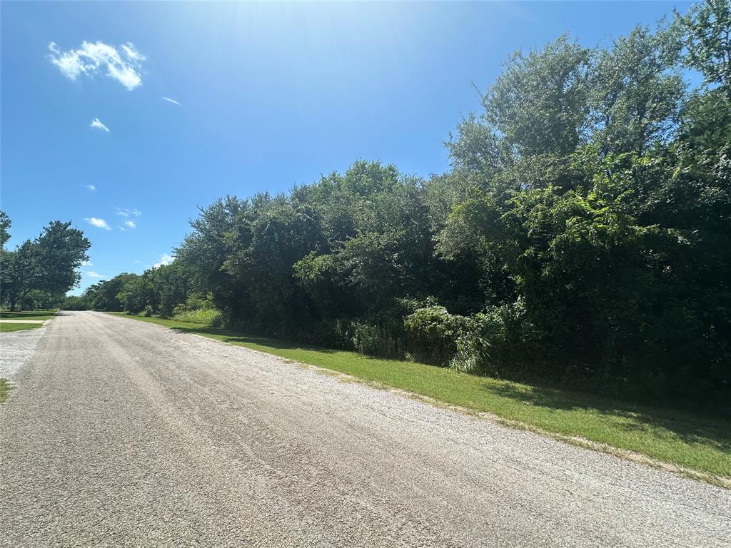 38049 Brookside Drive - Photo 3