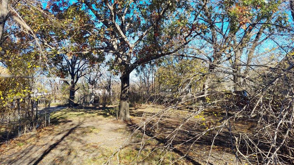 602 E 14th Avenue - Photo 3