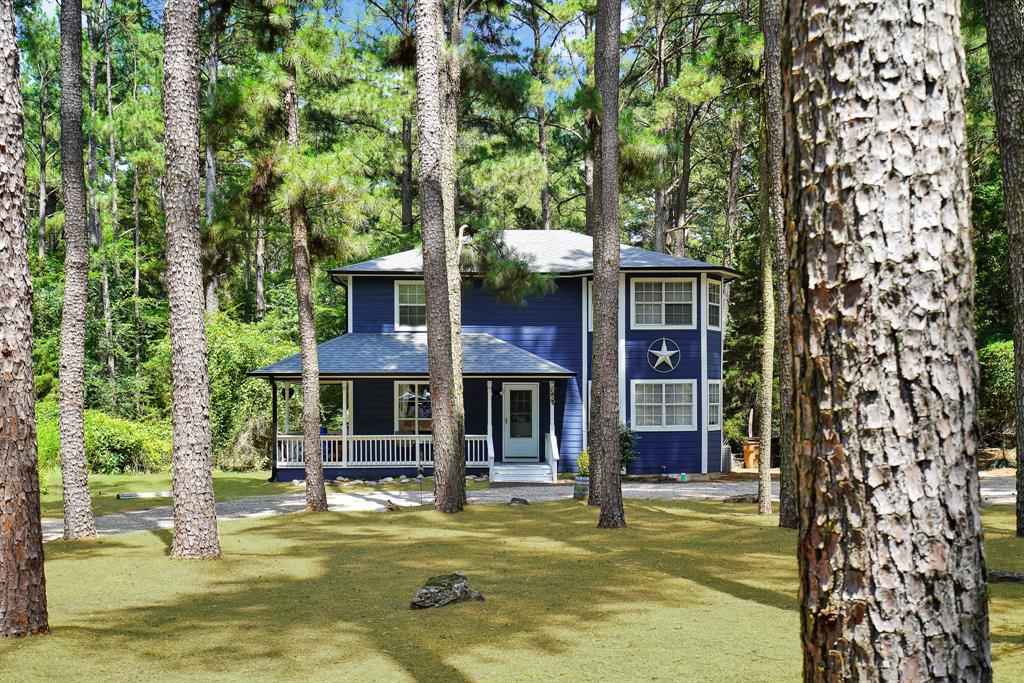 144 Pine Branch Glen - Photo 10