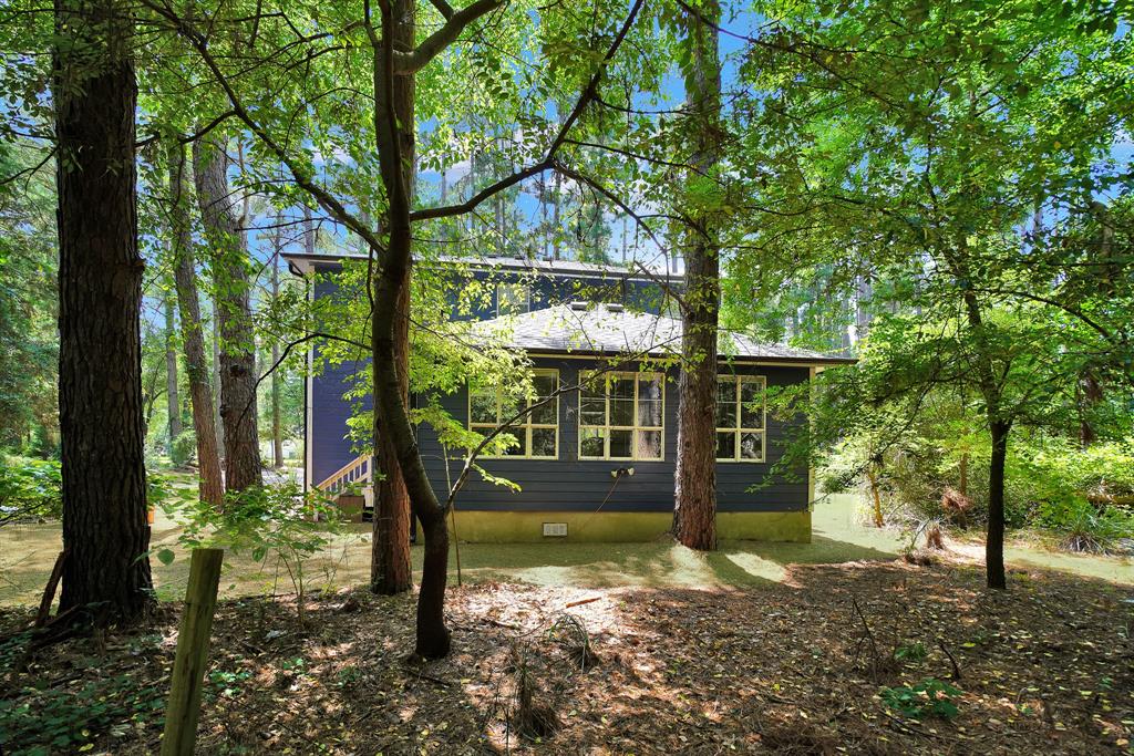 144 Pine Branch Glen - Photo 11