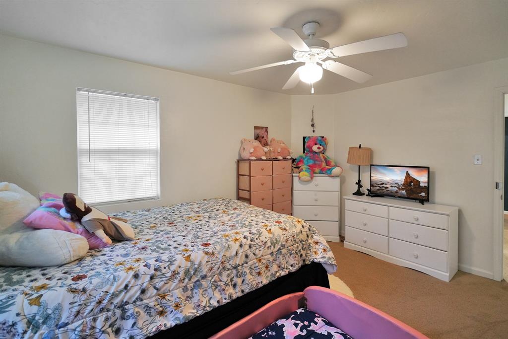 144 Pine Branch Glen - Photo 30