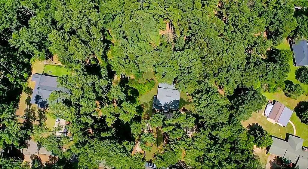 144 Pine Branch Glen - Photo 34