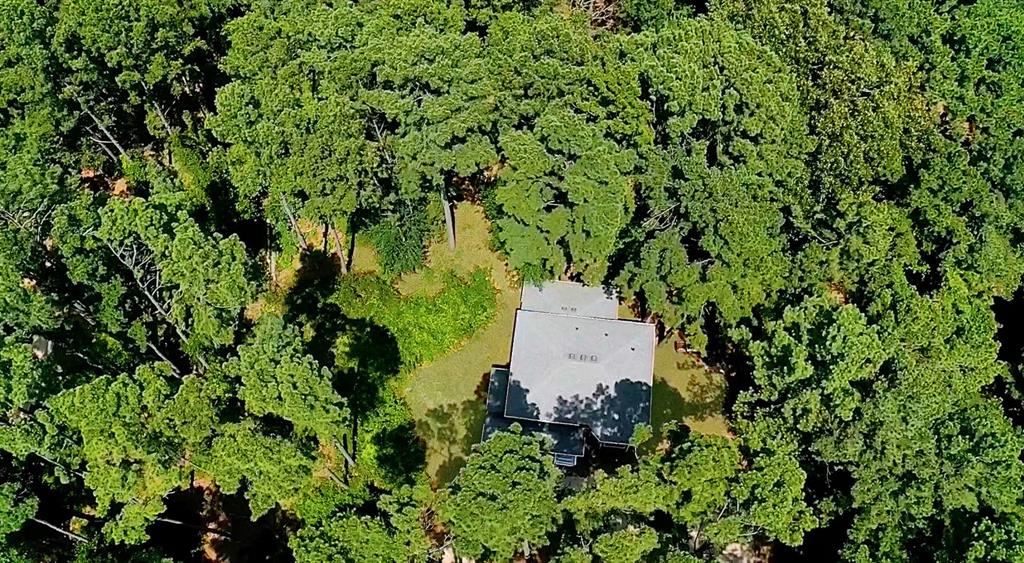 144 Pine Branch Glen - Photo 35