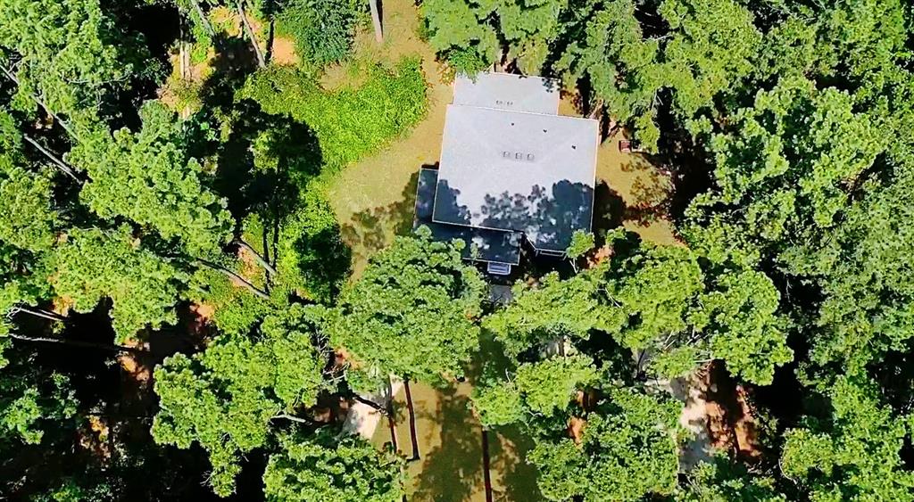 144 Pine Branch Glen - Photo 36