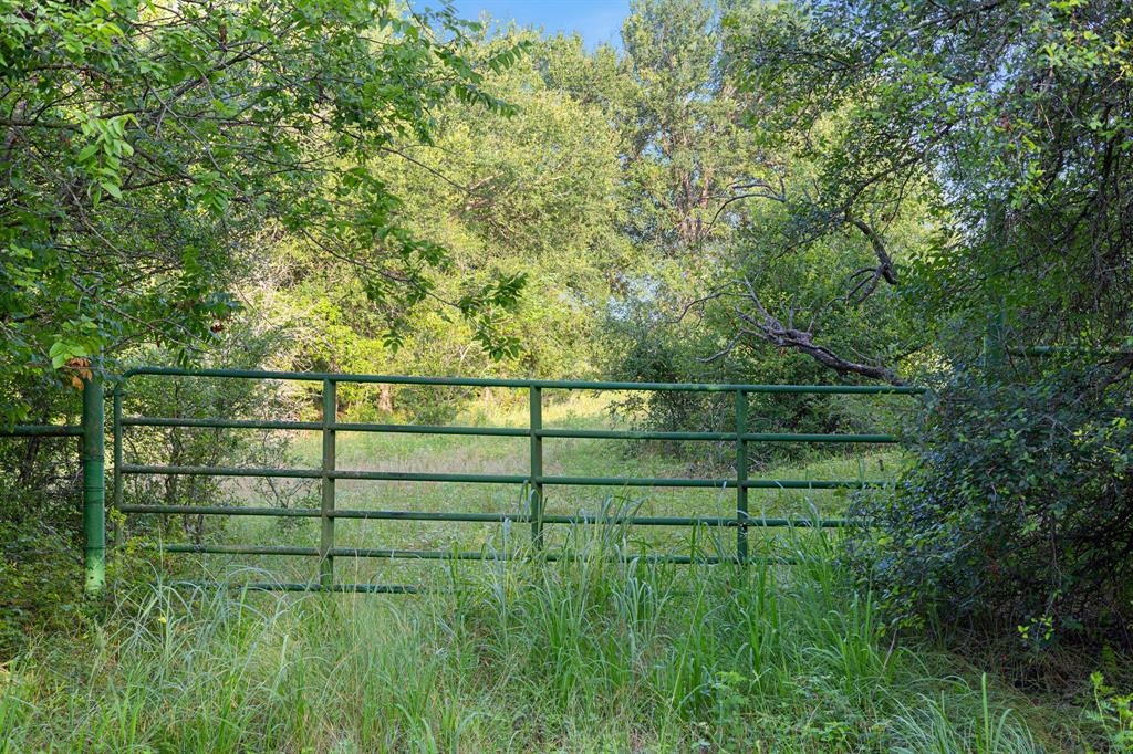 TBD Tract 5 28.71 AC Boren Road - Photo 5