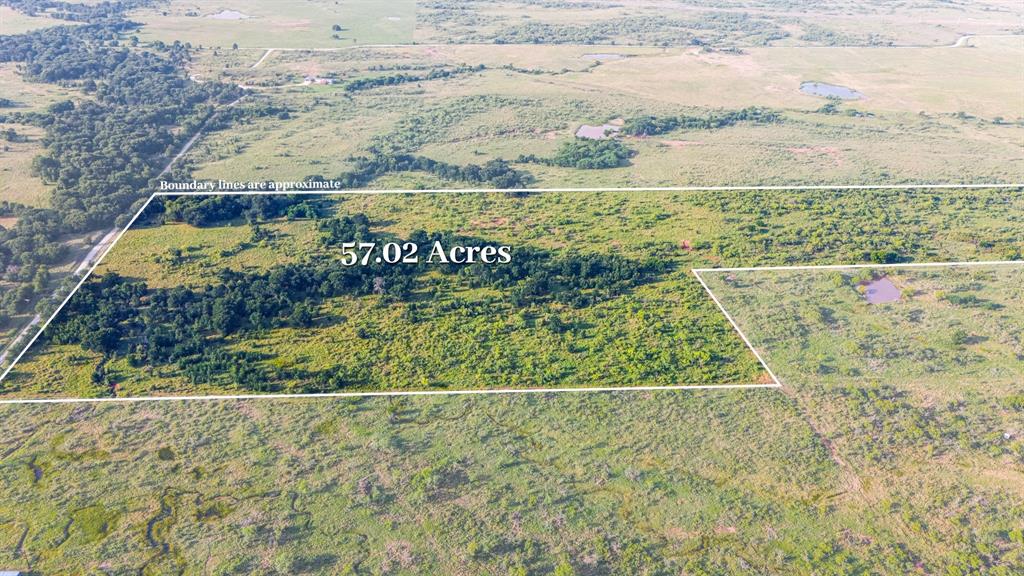 TBD Tract 5 28.71 AC Boren Road - Photo 9