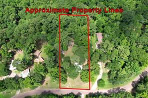 1611 County Road 1858 - Photo 5