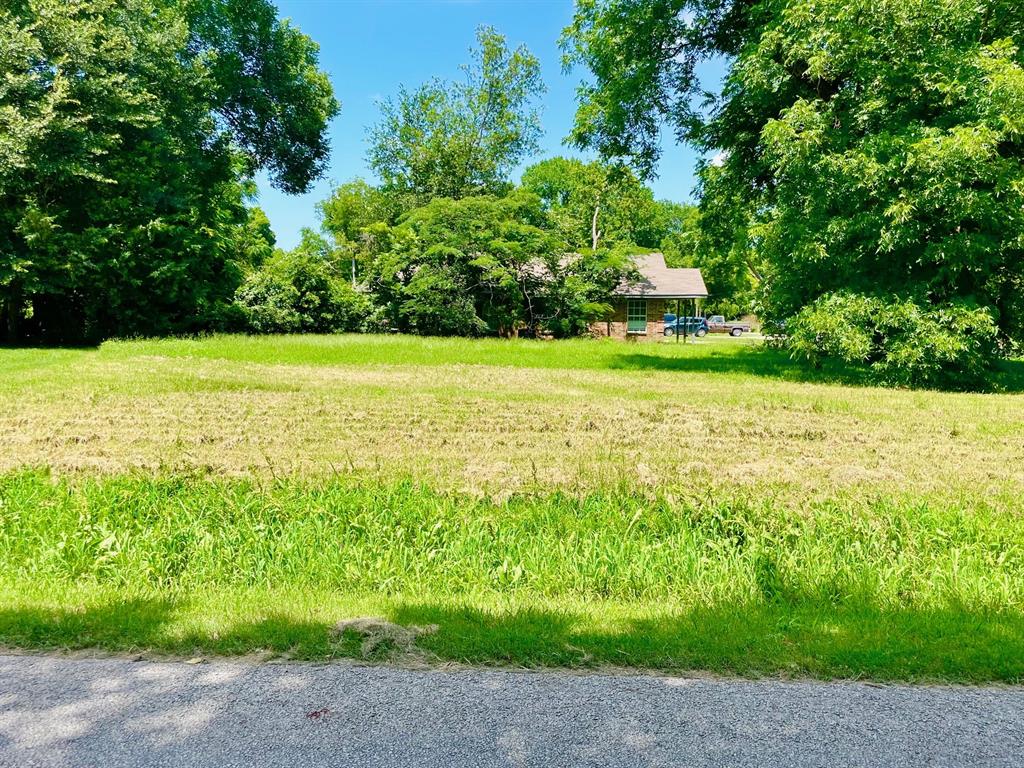 0 Boone Street - Photo 4