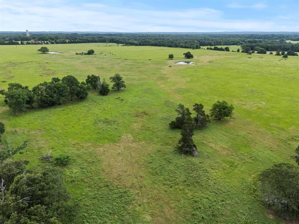 0000 VZ CR 4607 Road - Photo 12