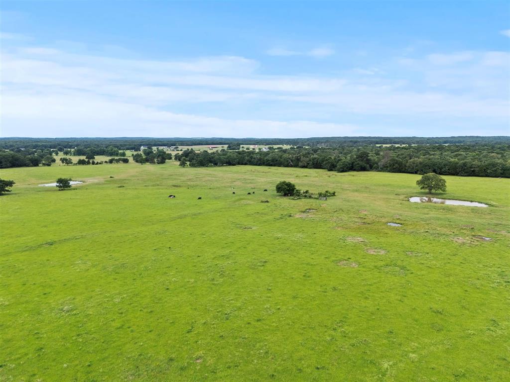 0000 VZ CR 4607 Road - Photo 18
