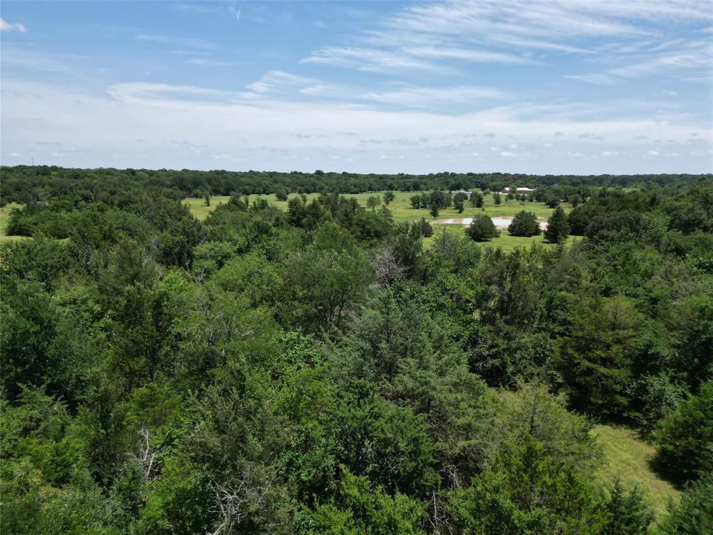 Lot 9 County Road 4766 - Photo 3