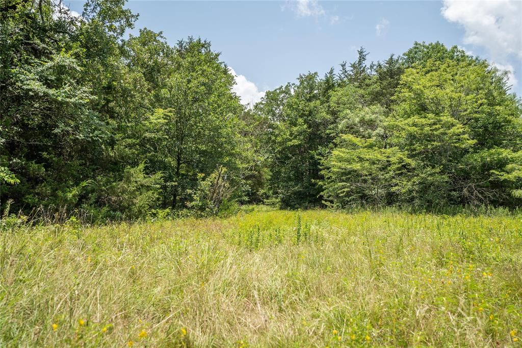 TBD CR-129 - Photo 8