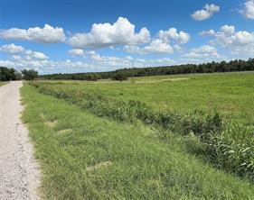 TBD Tract #7 E TRAVIS - Photo 11