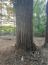 Lot 340 Grand View Drive - Photo 20
