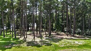 Lot 340 Grand View Drive - Photo 4