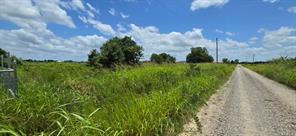 TBD County Road 1155 Road - Photo 2