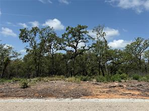 TBD Red Oak Hills - Photo 3