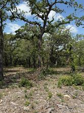TBD Red Oak Hills - Photo 4