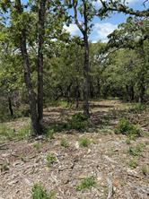 TBD Red Oak Hills - Photo 5
