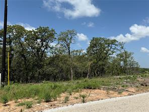 TBD Red Oak Hills - Photo 7