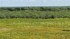 2850 County Road 122 - Photo 13