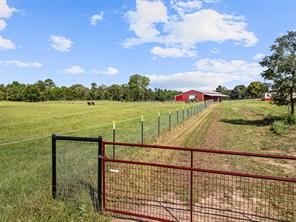 5989 HWY. 259 - Photo 27