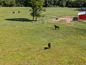 5989 HWY. 259 - Photo 35
