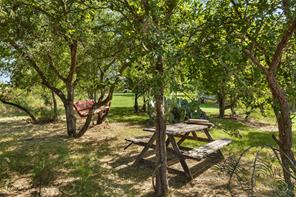894 W Moonshine Road - Photo 21