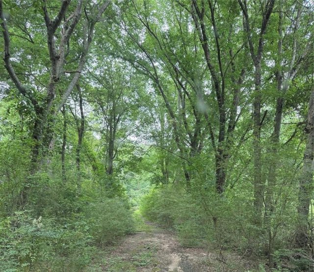 32 Acres County Road 2324